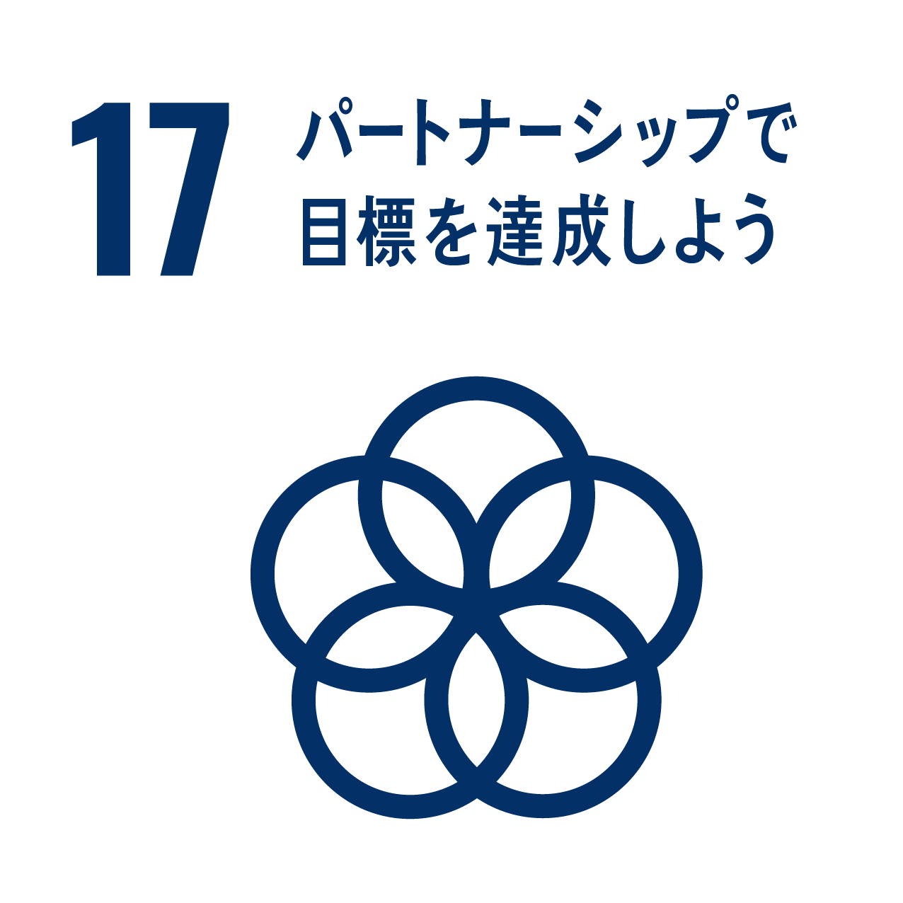 SDG 17